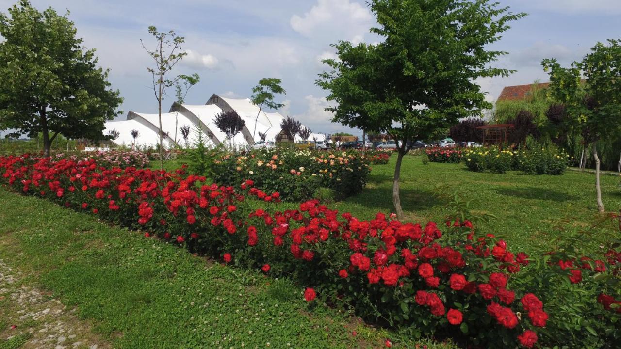 Hanul Moara Cu Noroc Ineu (Arad) Exterior foto